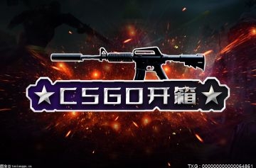 csgo萌新开箱选哪个？新手csgo开箱开什么比较好？